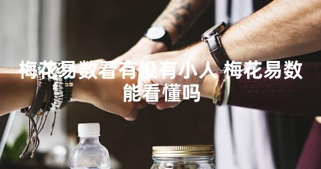 梅花易数看有没有小人 梅花易数能看懂吗